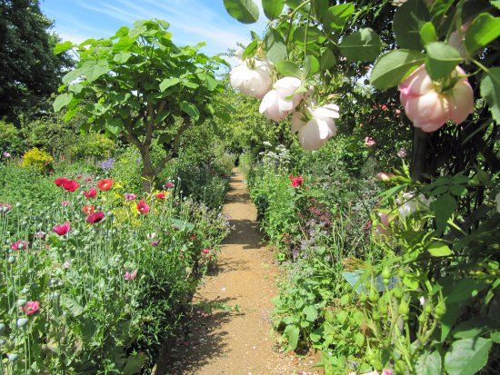 Twigs Community Gardens